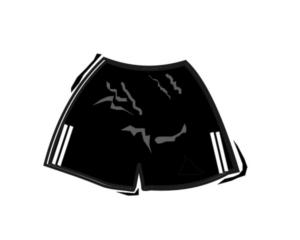 Bike Shorts